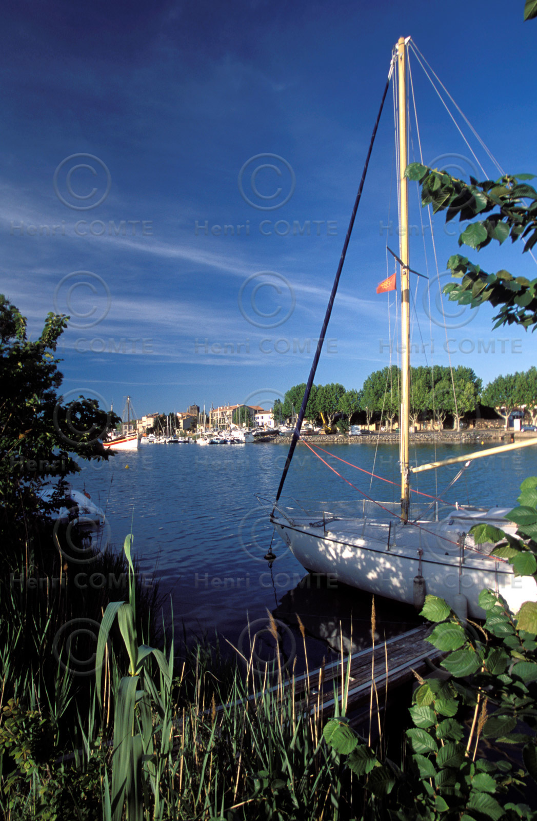 Les rives de l'Hérault