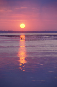 Etang de Thau