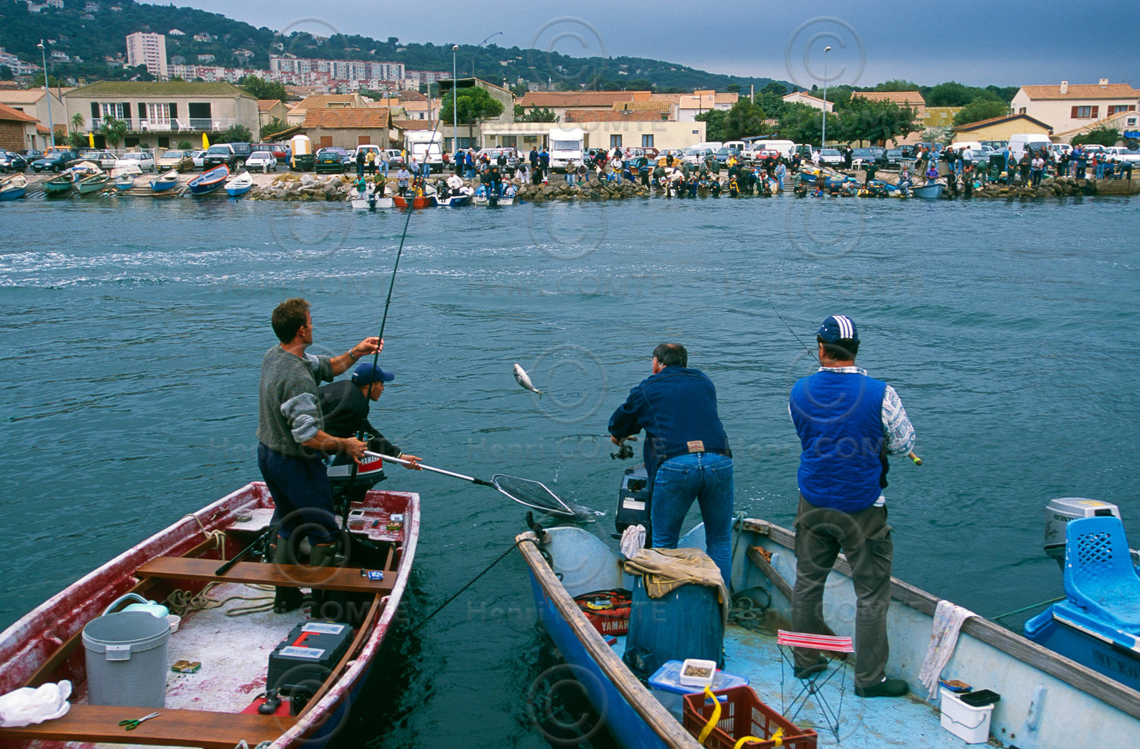 Pêche à la daurade