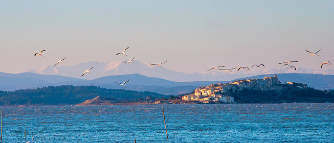 Etang de Bages
