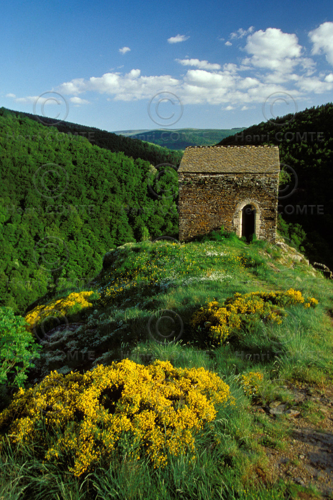 Paysage de Lozère