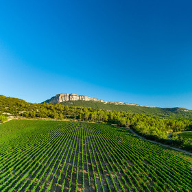 Vignoble Pic Saint Loup