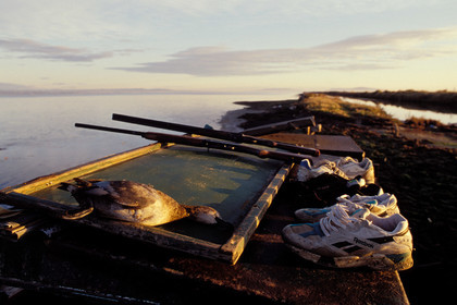 Chasseur