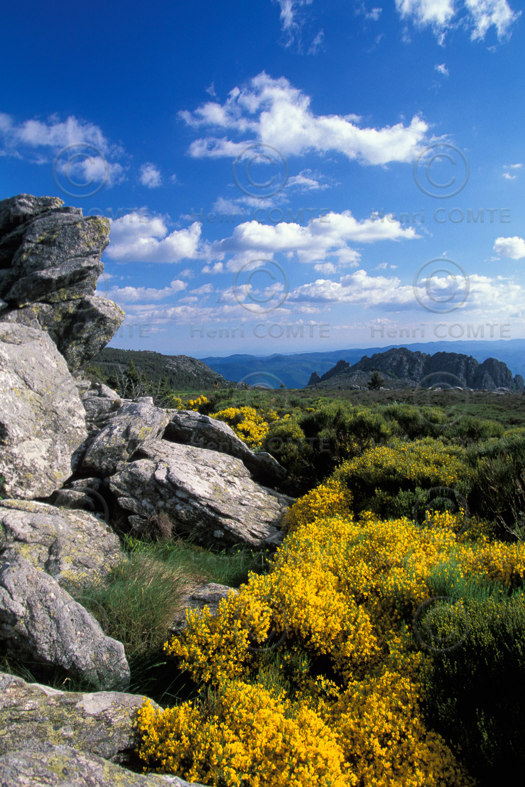 Le massif du Caroux