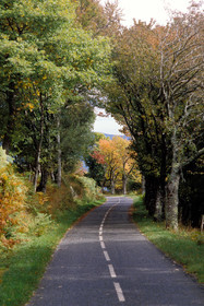 Route