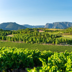 Saint-Chinian