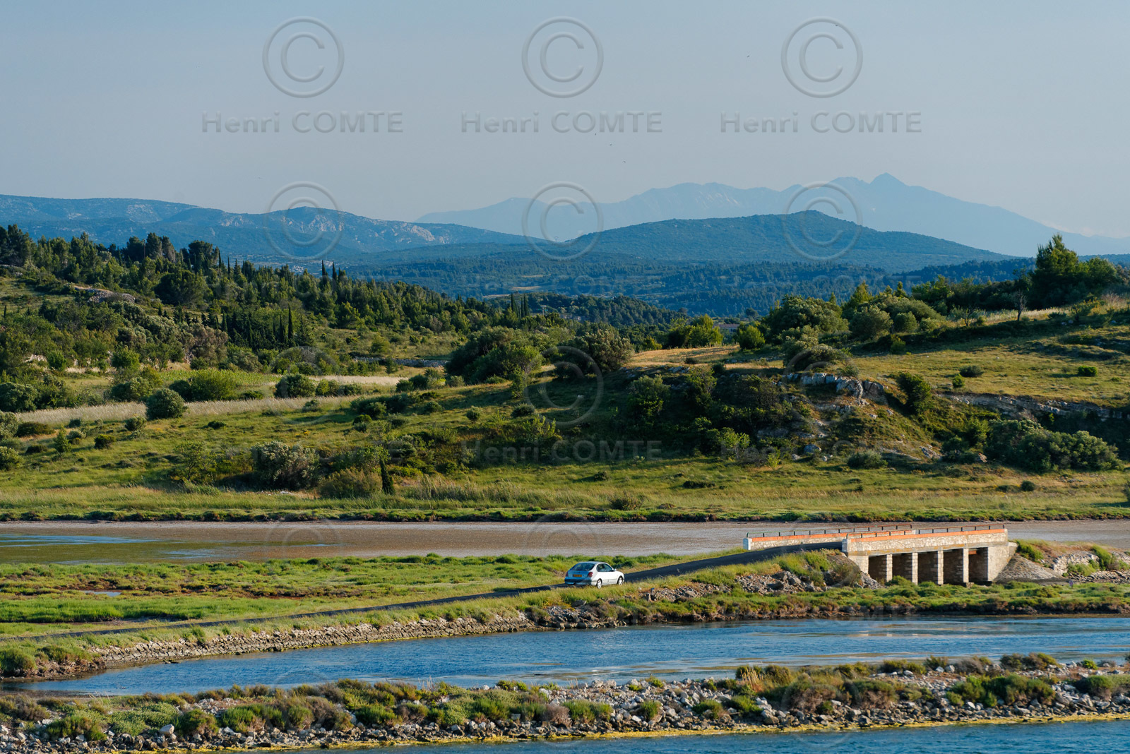 Etang de Bages - Sigean