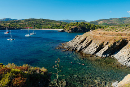 Anse de Paulilles