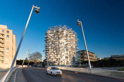 L'Arbre Blanc