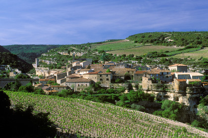Minerve