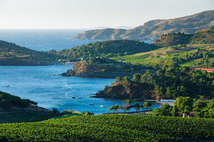 Anse de Paulilles