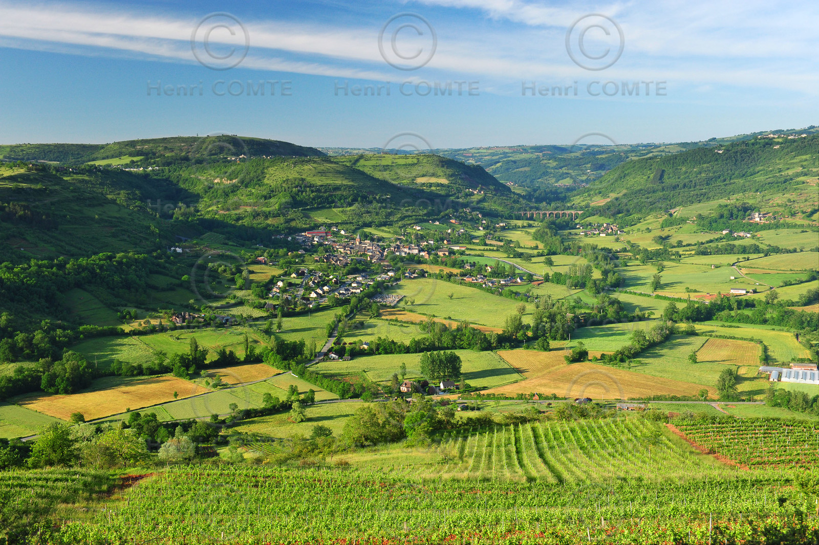 Vignoble de Marcillac