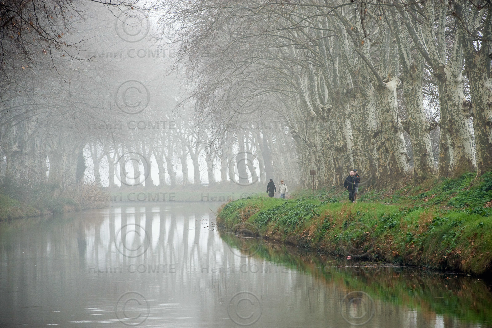 Le canal du Midi