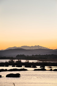 Etang de La Palme