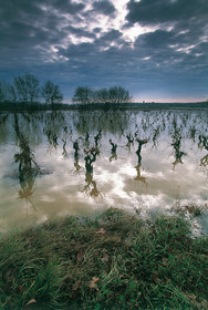 Inondations