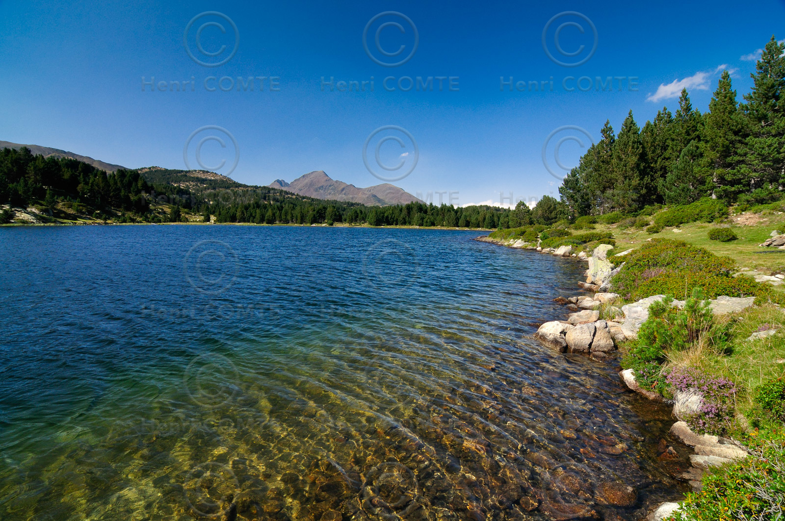 Les étangs du Carlit