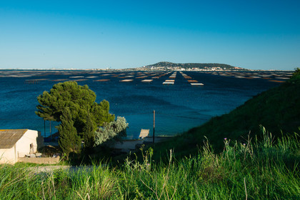 Etang de Thau
