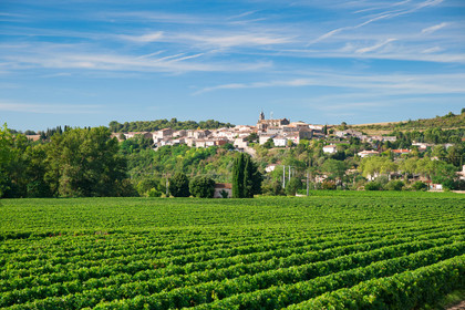 Vignoble de Malepére