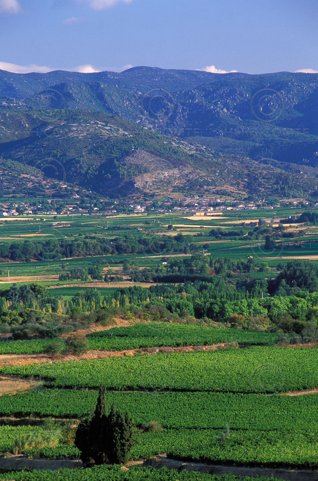 Plaine de l'Hérault