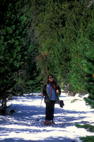 Sport d'hiver