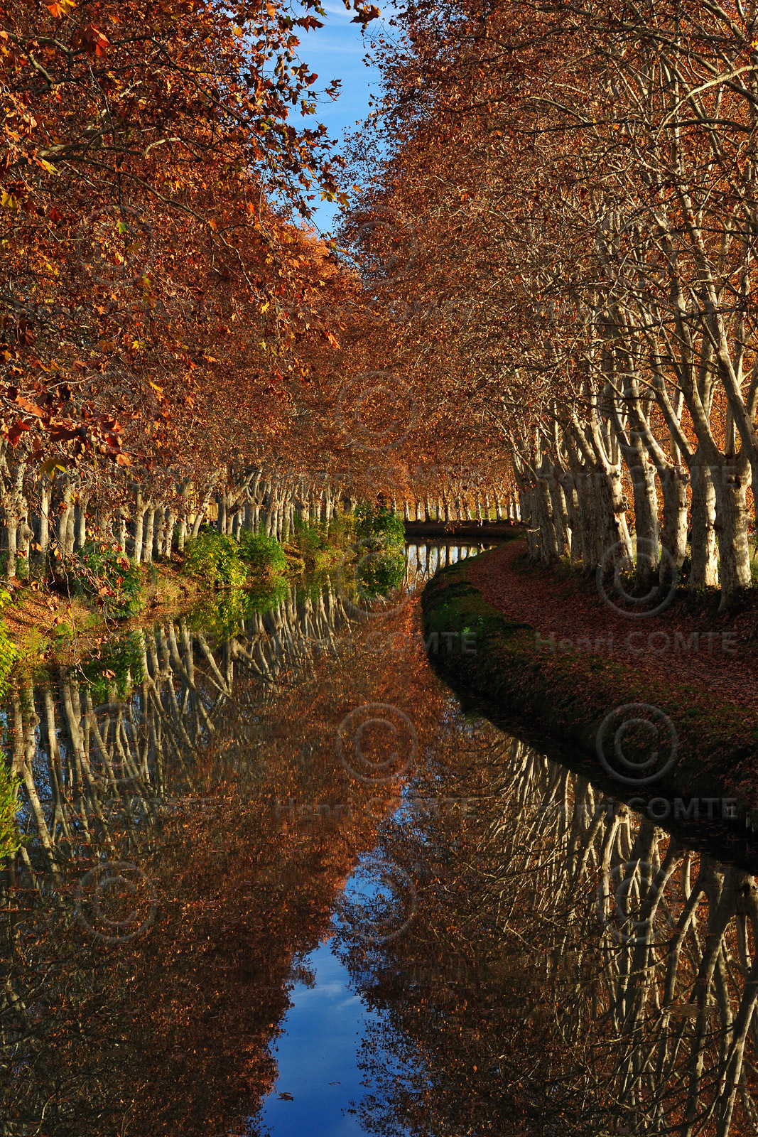 Le canal du Midi
