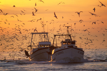 Retour de pêche