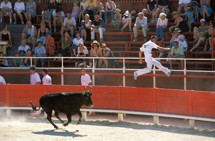 Course camarguaise