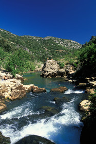 Le fleuve Hérault
