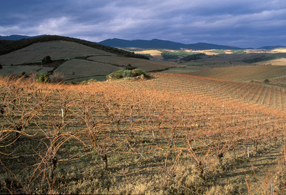 Vignoble de Faugeres