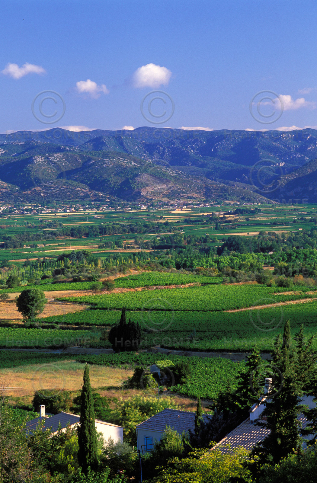 Plaine de l'Hérault