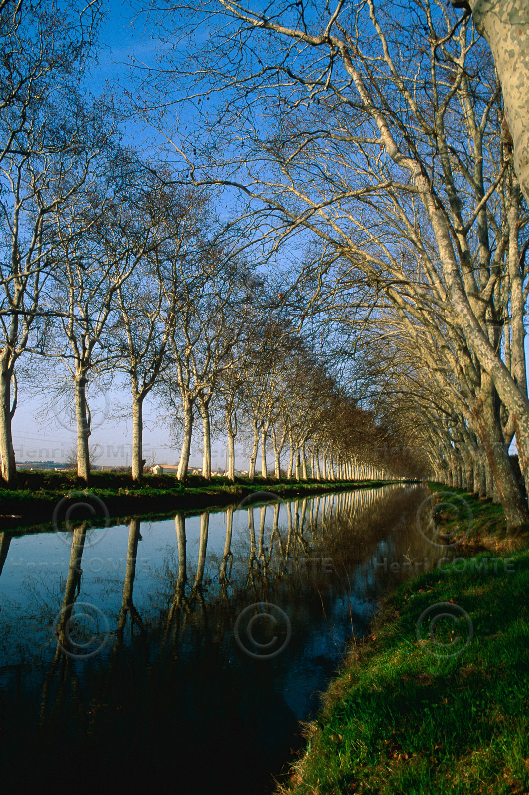 Le canal du Midi