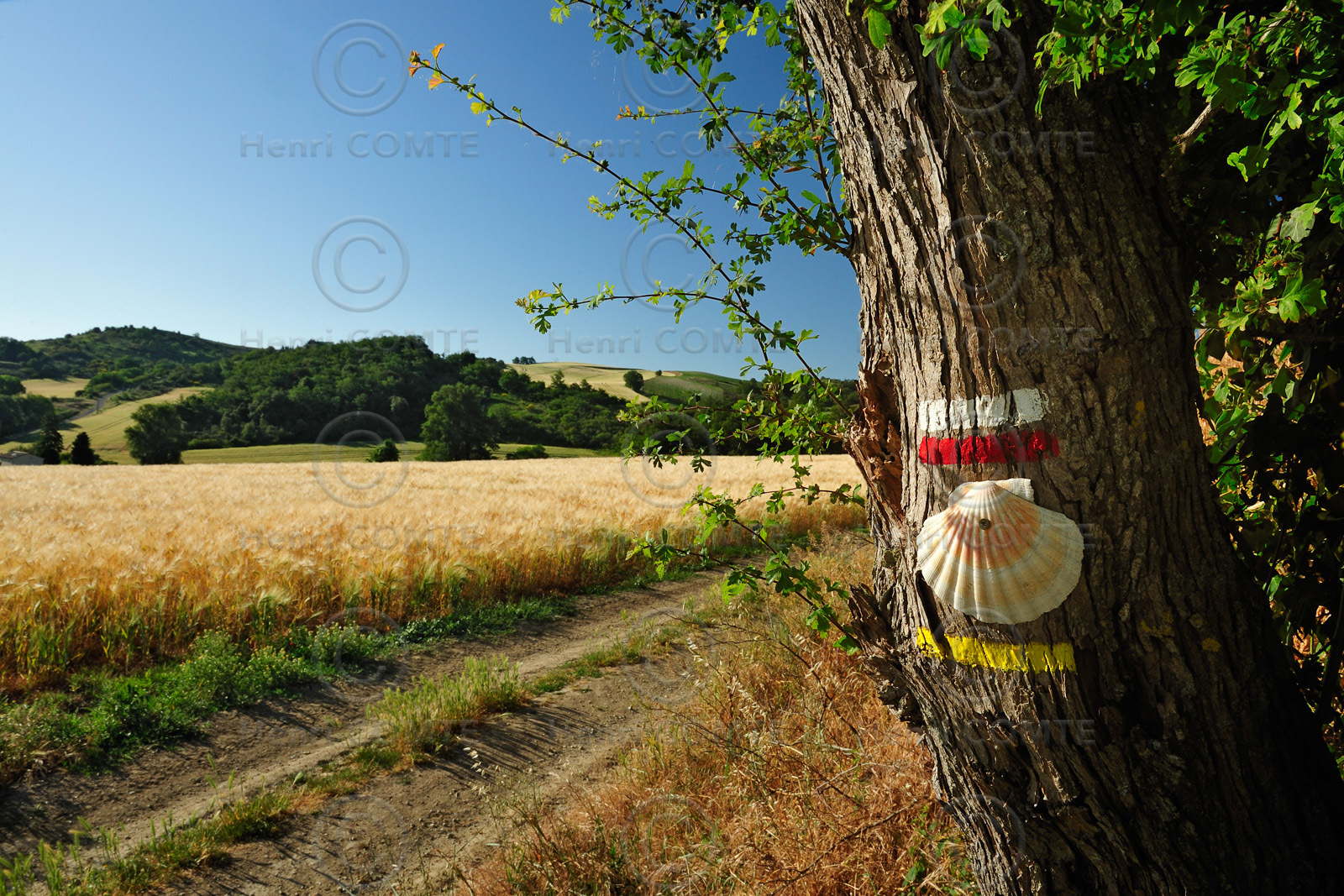 Chemin de Saint-Jacques