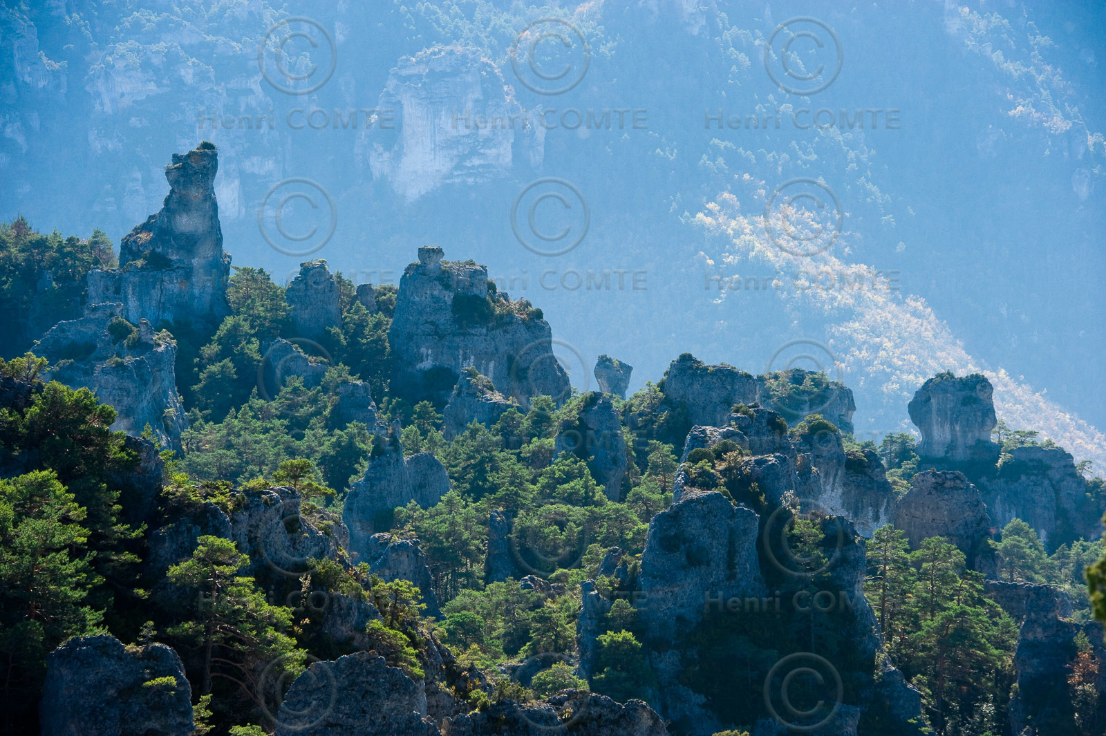 Montpellier le Vieux