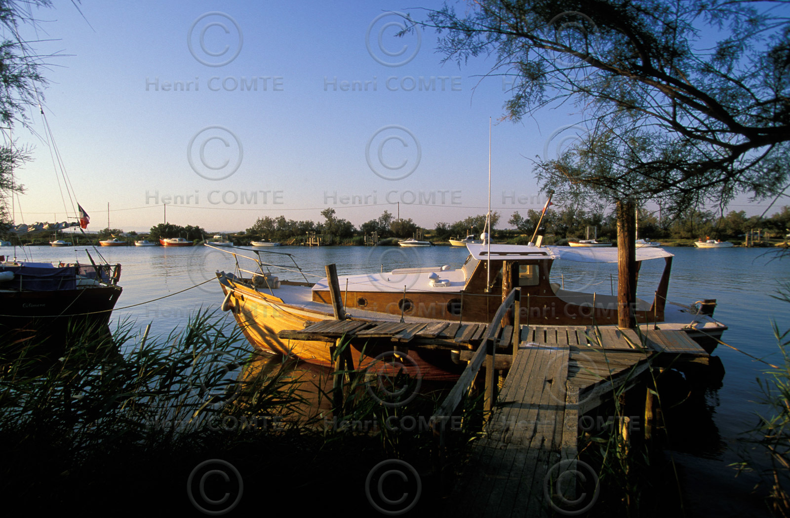Embouchure de l'aude
