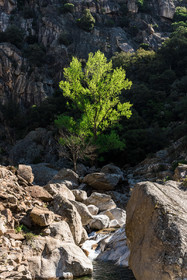 Gorges d'Héric