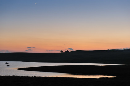L'Aubrac