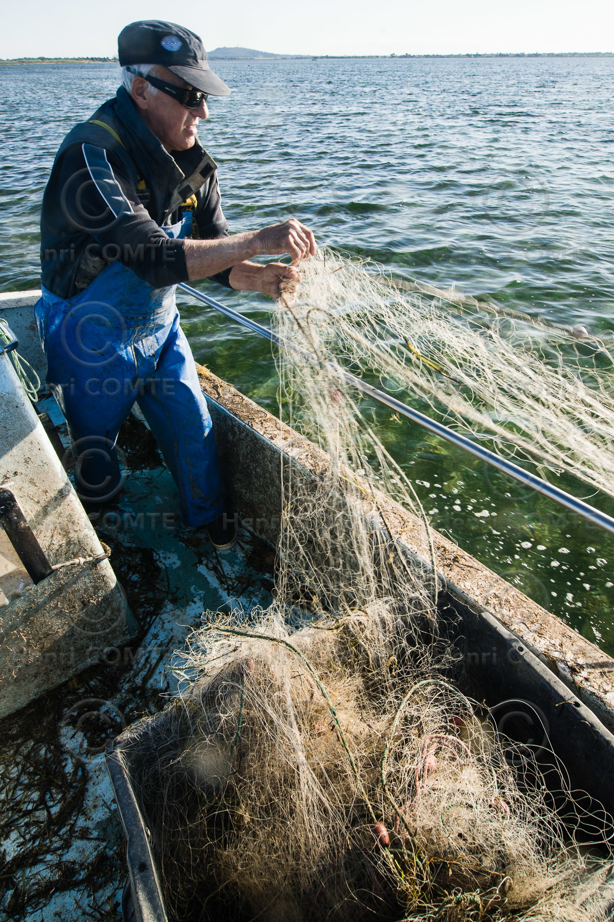 Pêche étang de thau