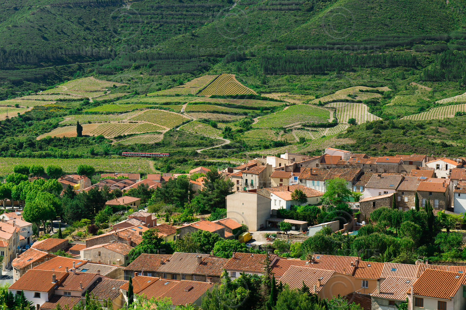 Village de Maury