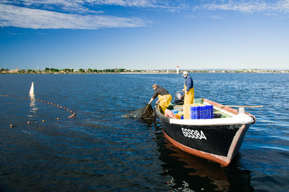 Pêche étang de thau