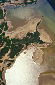Etang de Thau