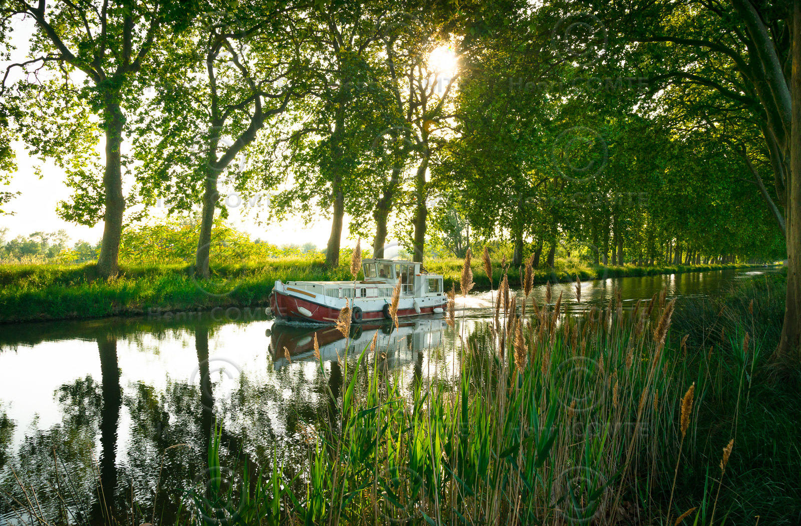 Canal du Midi