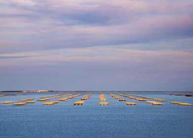 Etang de Thau