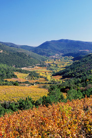 Vignoble Saint Chinian