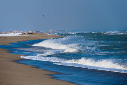Plage de Toreilles