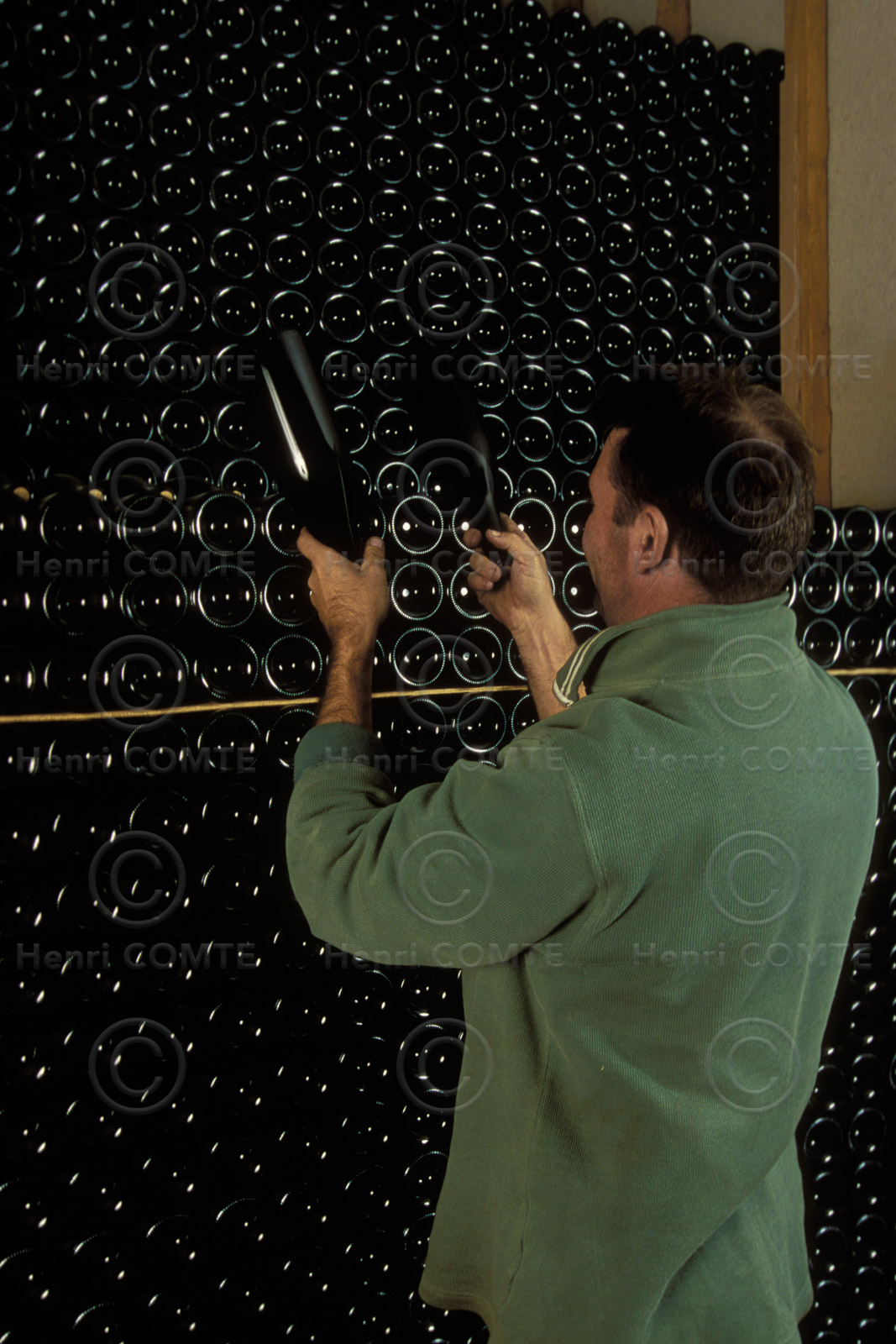 Vignoble du Roussillon