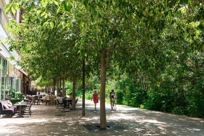 Montpellier