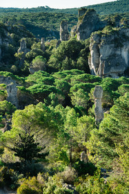 Cirque de Moureze