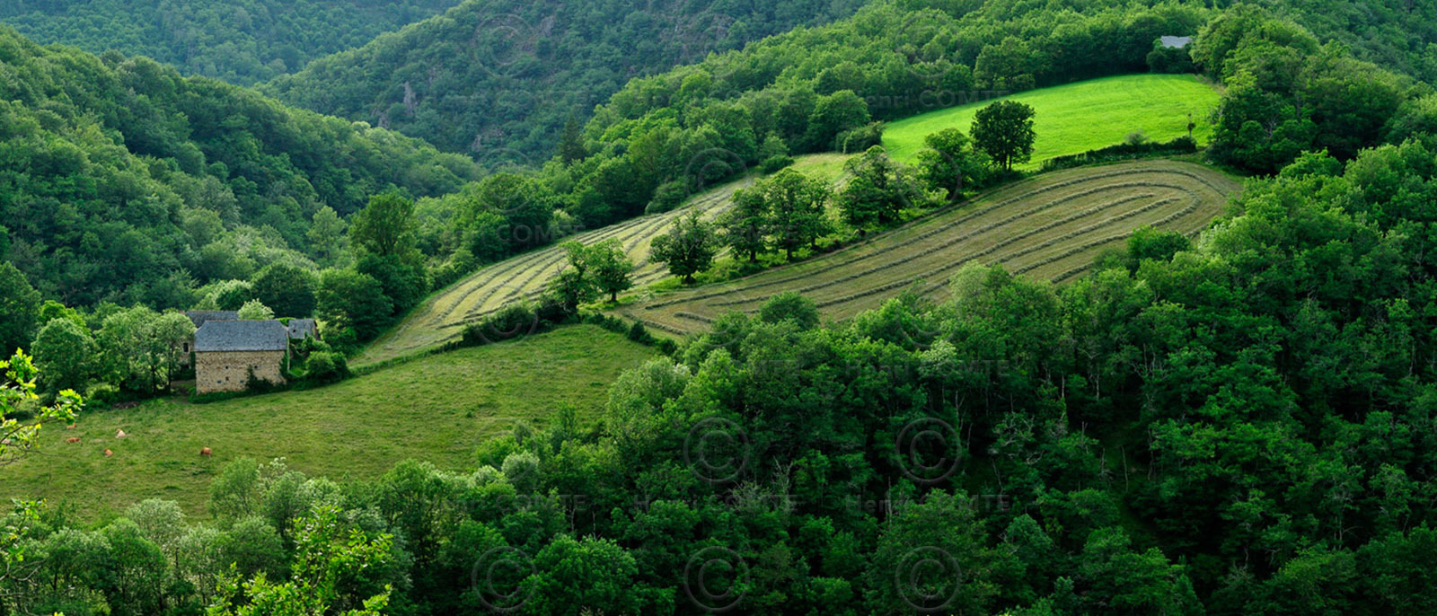 Gorges de l'Aveyron