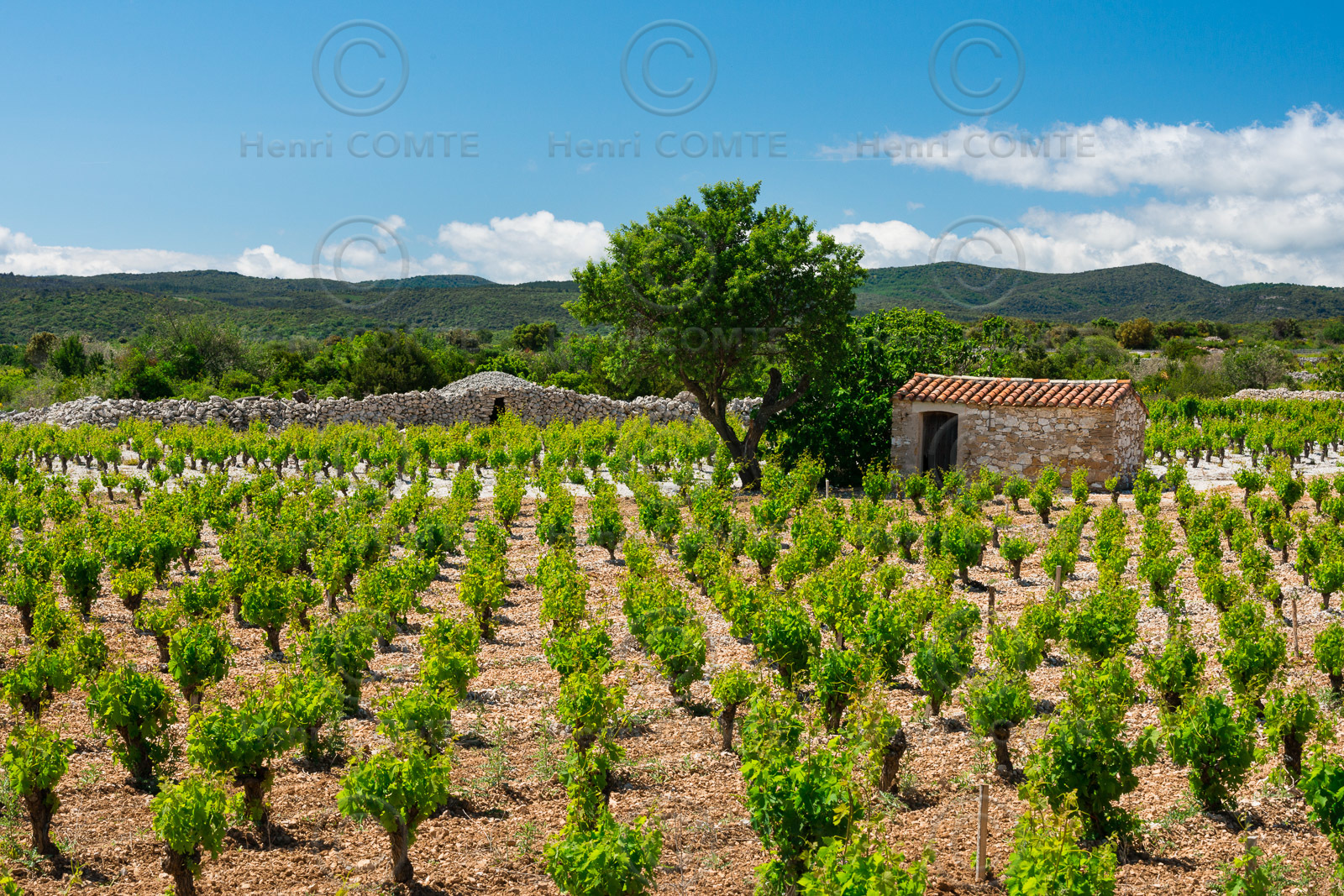 Minervois