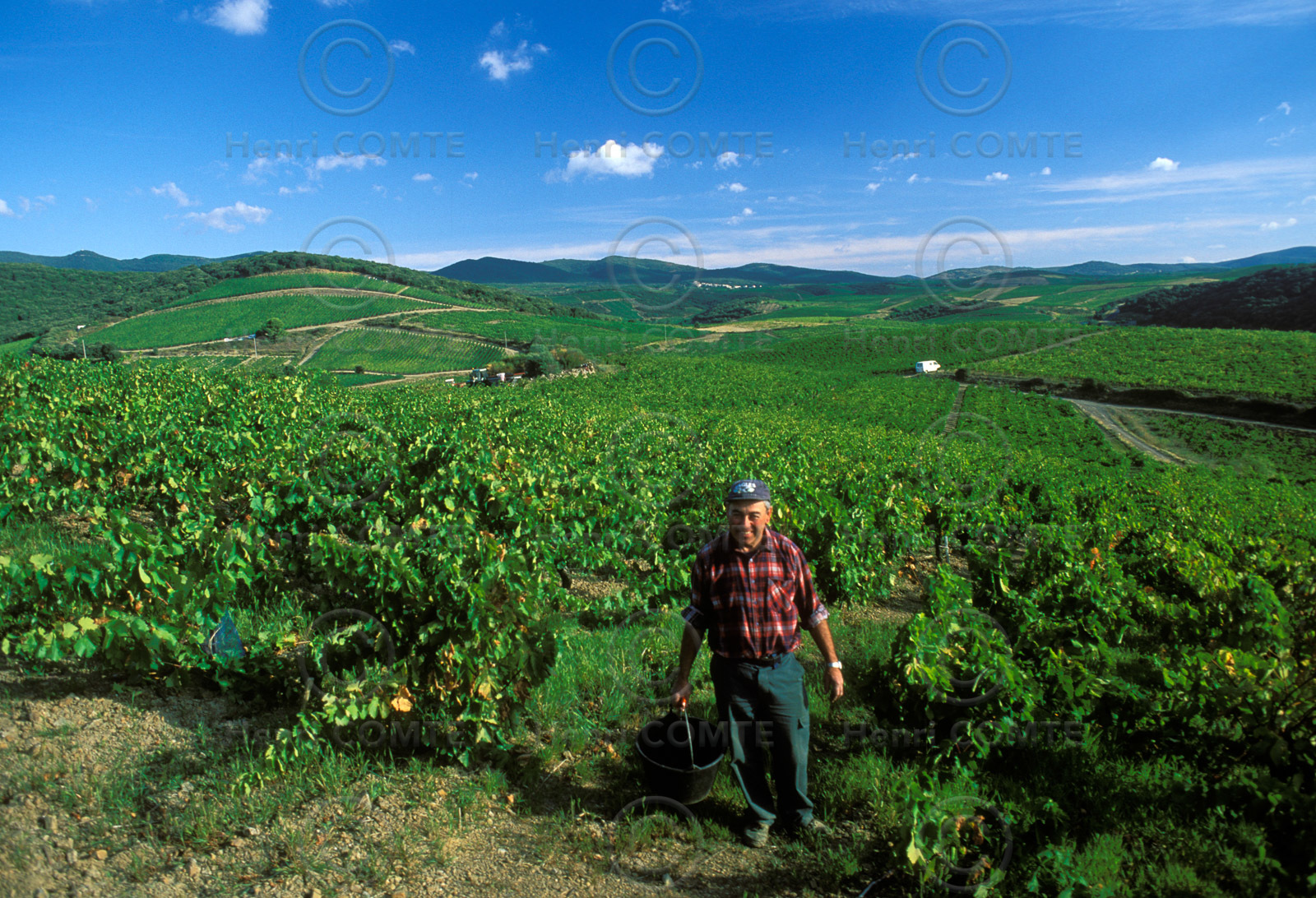 Vignoble de Faugeres